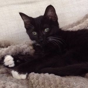 Meet your Posher, Izzy